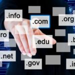 domain name